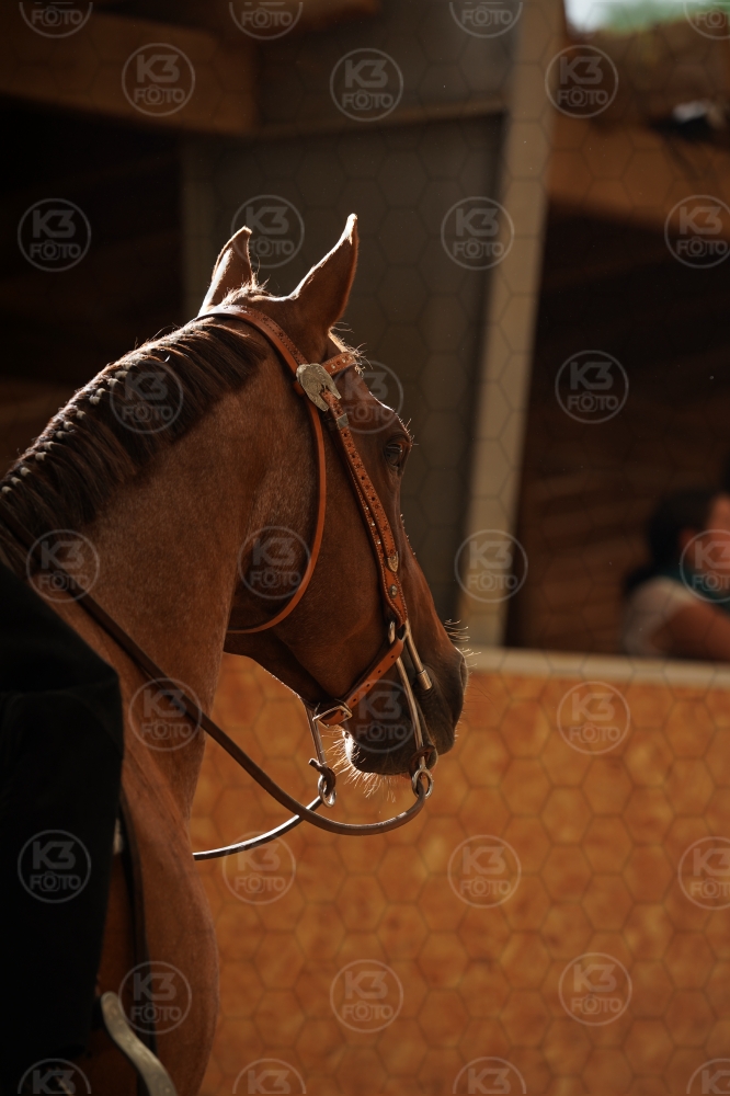 s_A9_08974.jpg